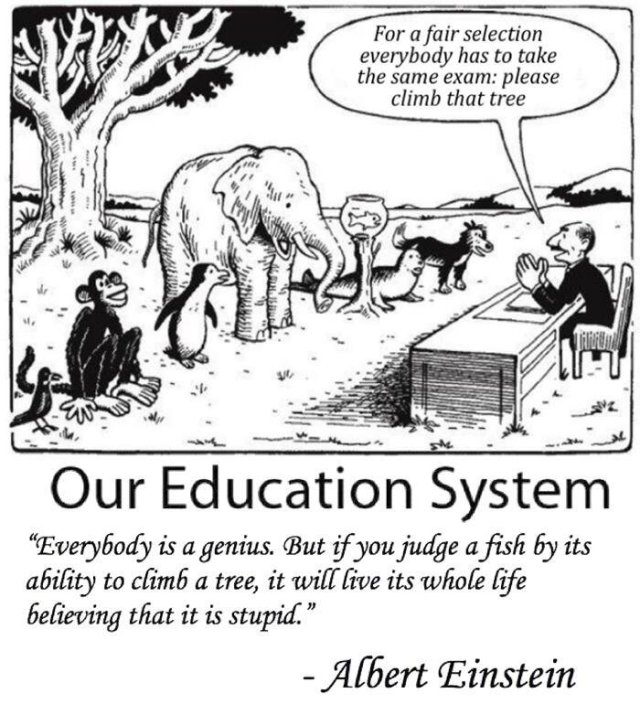 assessment